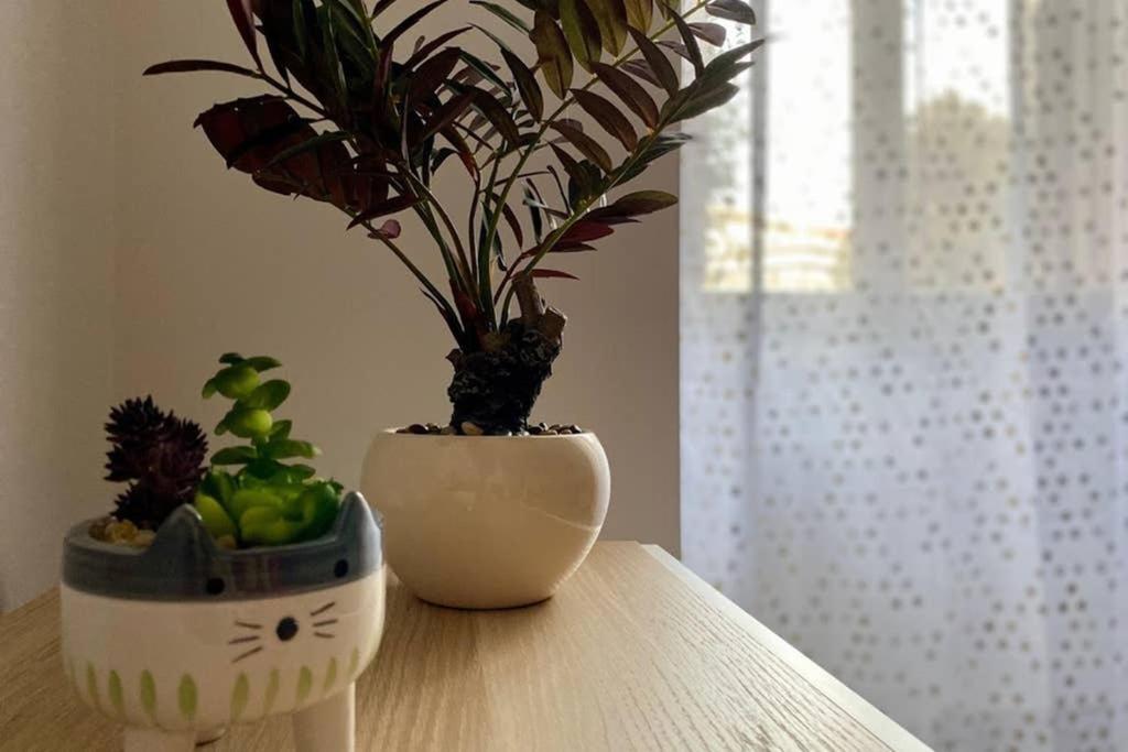 Central Modern Apartment Rome -Locazione Turistica- מראה חיצוני תמונה